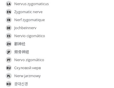 Zygomatic nerve - vet-Anatomy - IMAIOS