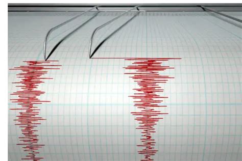 Gempa 4 3 Pada Skala Richter Guncang Sorong ANTARA News