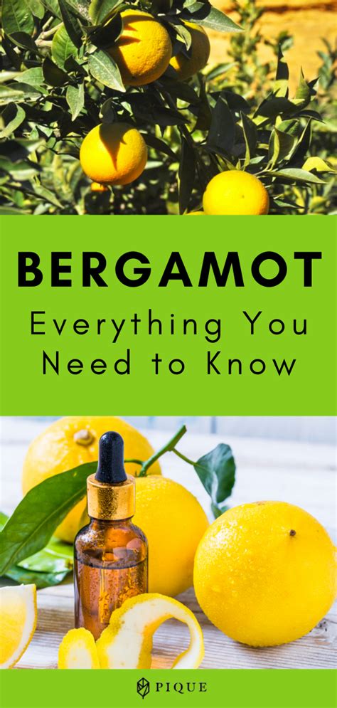 Bergamot Oil Artofit