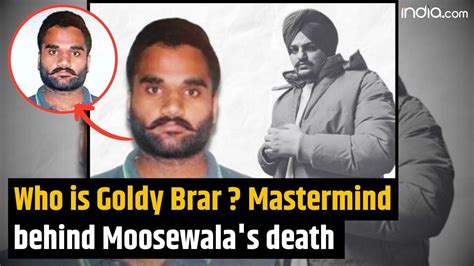 Gangster Goldy Brar Sidhu Moosewala Murder Mastermind Shot Dead By