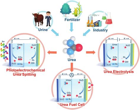 An Illustration Of Urea Based Energy Conversion Technologies Including