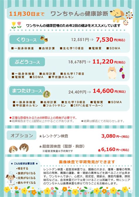 秋の健康診断キャンペーン！！｜幸手の動物病院「幸手動物病院」