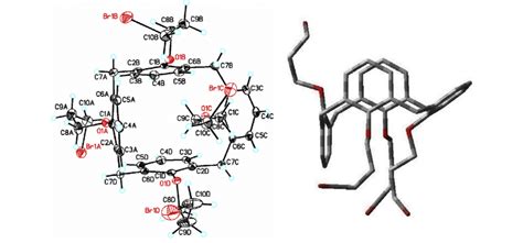 X-ray crystal structure of partial cone calixarene 10. | Download ...