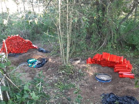 Polícia Militar apreende 669kg de maconha enterrados em tambores em