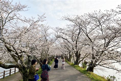 ホワイトデーのお返し 介福本舗（かいふくほんぽ） 福岡市西区小戸にあるショールーム併設の福祉用具レンタル・介護用品販売ショップ