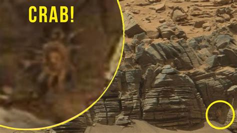 5 Strangest And Mysterious Things Caught By Nasa On Mars Youtube