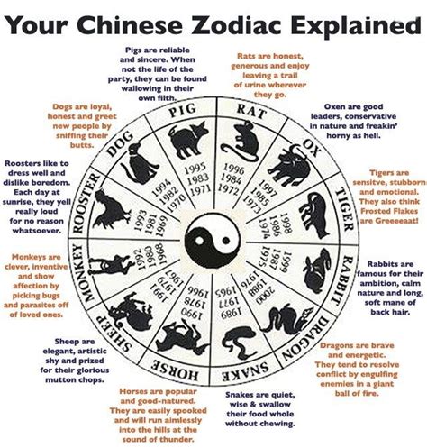 Chinese Zodiac Signs | Chinese zodiac signs, Chinese zodiac, Chinese ...