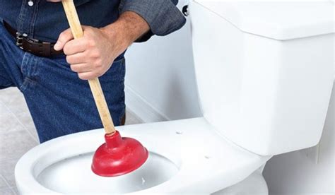 Blocked Toilets in Inner West Sydney - Toilet Unblocking Service | Nardi