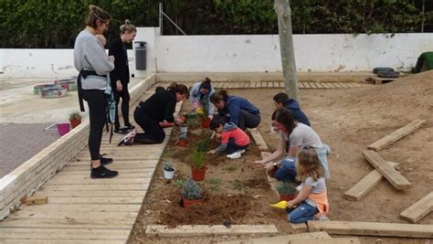 Creando Zonas Verdes En El Patio Del Ceip Trenc D Alba J Vea