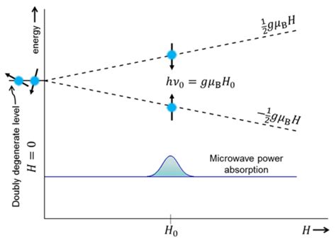 Electron Spin Resonance Measurements 1 Physikalisches Institut University Of Stuttgart