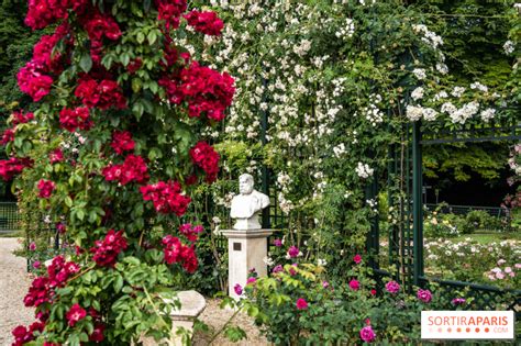 La Roseraie du Val de Marne à l Haÿ les Roses le jardin remarquable et