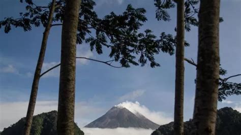 Merapi Luncurkan Kali Guguran Lava Pijar Minggu Ini Genpi Co Jogja