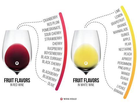 Wine Flavors: What's Right? What's Wrong? | Wine Folly