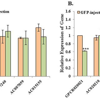 Gene Expression And Insecticide Resistance In Rnai Injected And