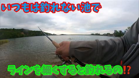 釣れない池で、ラインを細くしてみたら🎣40upのバスが釣れた‼️ Youtube