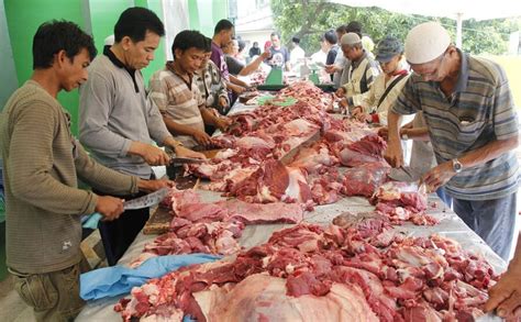 Juru Sembelih Halal Bertugas Saat Iduladha Di Ratusan Masjid