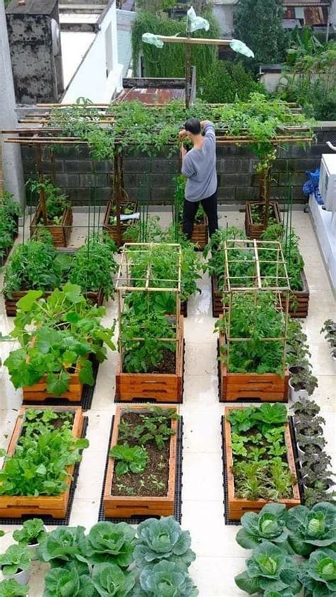 14 Best Vegetable Gardens That Will Leave You In Awe And Hungry For More