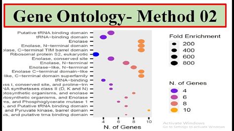 Gene Ontology Method 02 Go Enrichment Analysis Shiny Go Web Tool