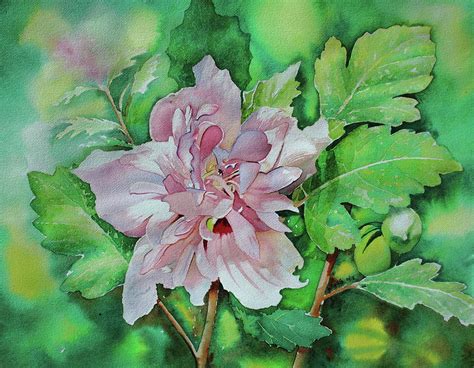 Pink Hibiscus Series 3 Painting By Jelly Starnes Fine Art America