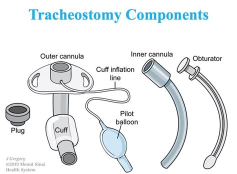 Obturator Tracheostomy