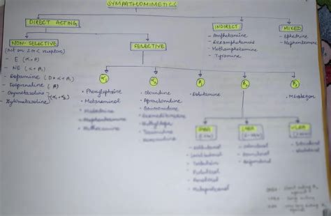 Solution Nor Adrenergic Anti Adrenergic Drugs Classification Studypool