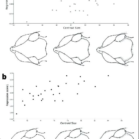 Ontogenetic Allometry Whole Sample Assessed Through Regression