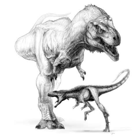 Velociraptor Vs T Rex