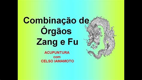 Pares De Rg Os Zang Fu Na Acupuntura Youtube