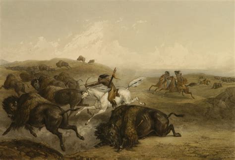 Indians Hunting the Bison - Warner Foundation