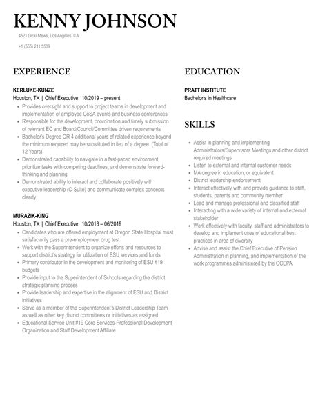 Chief Executive Resume Samples | Velvet Jobs