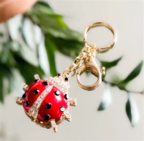 The Ladybug Keychain