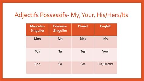 Les Adjectifs Possessifs ppt télécharger