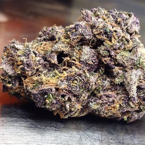 Purple Urkle Indica Dominant Medical Marijuana - Legalize it. We Think So