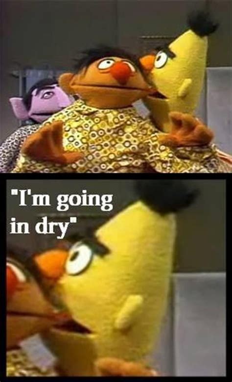 Funny Pictures Of The Day 101 Pics Sesame Street Memes Dark Humour