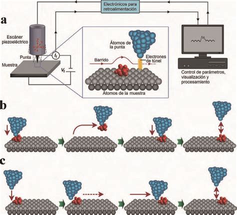 Microscopía De Barrido De Efecto Túnel Ojos Y Dedos Para Nano