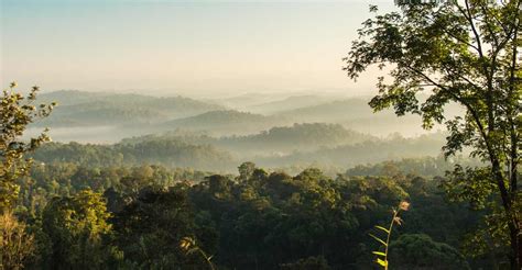 Gems Of Lovely Coorg Karnatakas Pride Travel Beyond Kerala