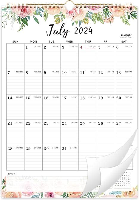 2024 2025 Wall Calendar 18 Months Calendar 2024 2025 Jul