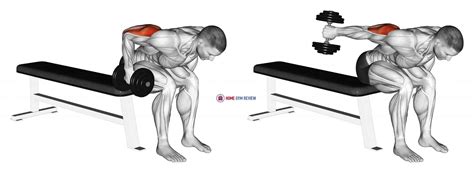 Dumbbell Seated Bent Over Triceps Extension Home Gym Review