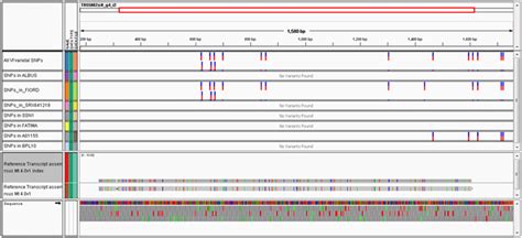 Integrative Genomics Viewer Igv Snapshot Of Snps In The Vf Ortholog