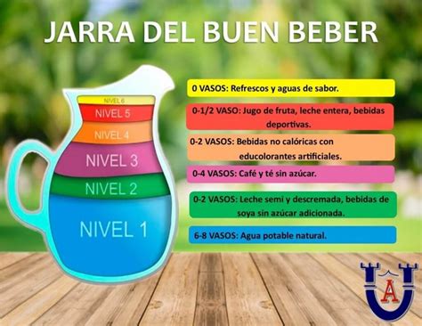 Descubre Los Beneficios De La Jarra Del Buen Beber Informando En La Red