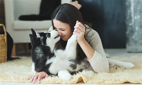 Siete señales que indican que tratas a tu perro como a un hijo