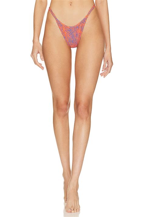 Tropic Of C Luna Bikini Bottom In Tyger Vitamin REVOLVE