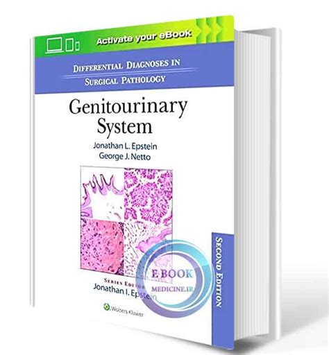 دانلود کتاب Differential Diagnoses In Surgical Pathology Genitourinary