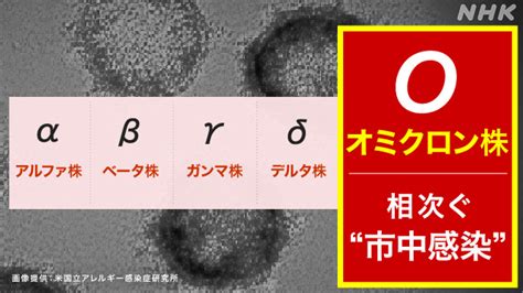 オミクロン株 “第6波”抑えるため 年末年始にできること 新型コロナウイルス Nhkニュース