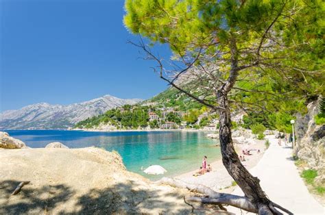 Brela Sur Makarska La Riviera Dalmatie Croatie Photo Stock Image Du