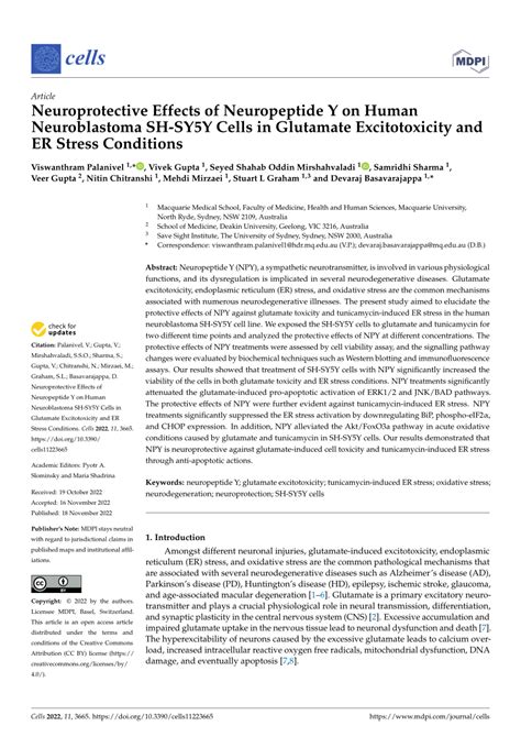 Pdf Neuroprotective Effects Of Neuropeptide Y On Human Neuroblastoma