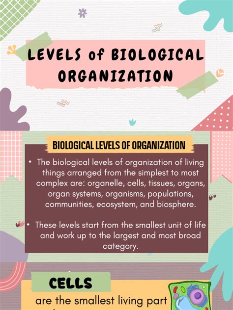 Biological Levels Of Organization Pdf