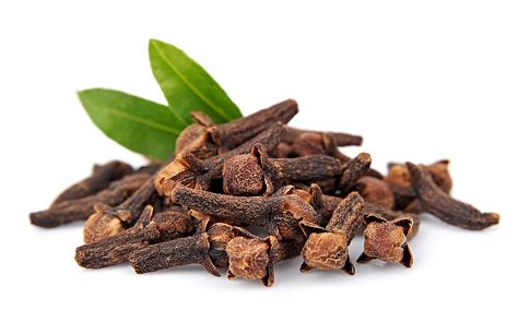 Clove Bud Oil Plant Lipids P Ltd Ingredients Network