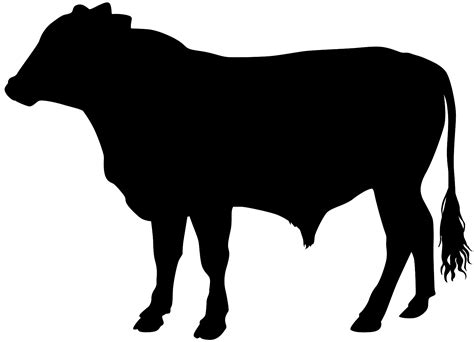 Steer Silhouette Free Vector Silhouettes