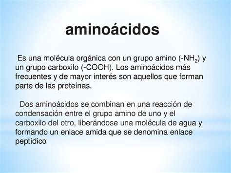 SOLUTION Amino Cidos Y Prote Nas Presentacion Studypool